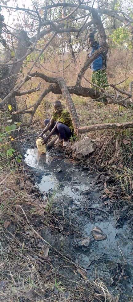 A man is kneeling next to a stream in the woods.