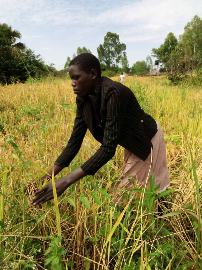 A woman is kneeling in a field of tall grass
