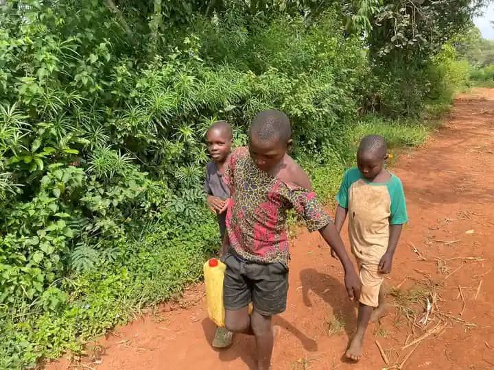 Three children walk along a red dirt path beside lush greenery, one carrying a yellow plastic container.
