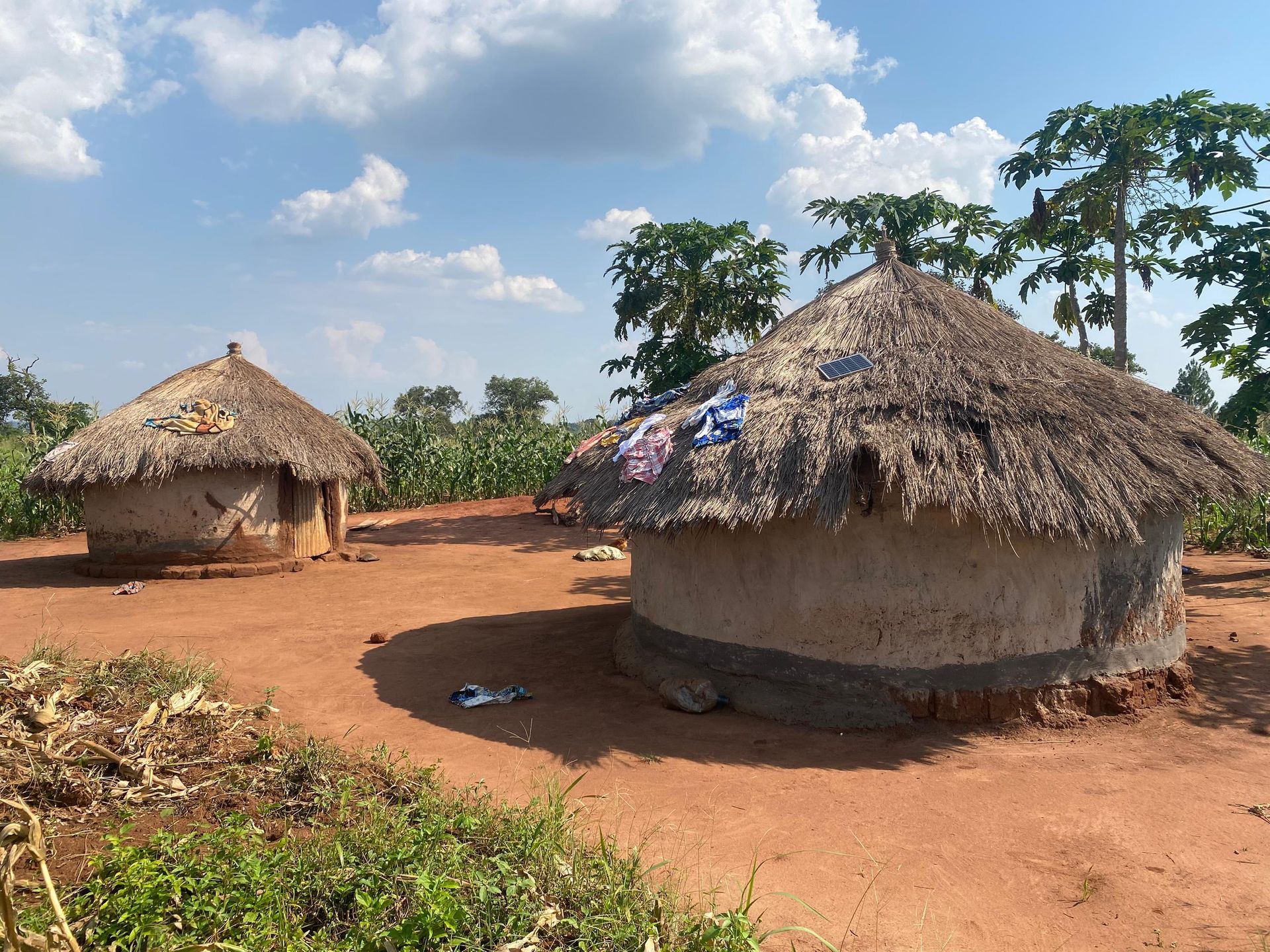 Korobar Village, Uganda — thatched huts in the village adjacent to the school compound, June 2026.