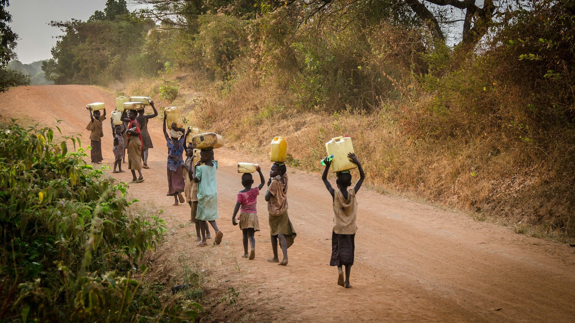 A line of people walking along a rural dirt road, each carrying a yellow water container on their head.