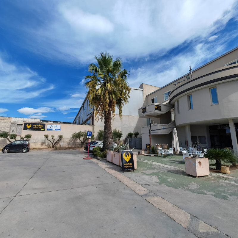 Cortile del condominio con una palma, cielo azzurro e auto parcheggiate accanto a un edificio curvo