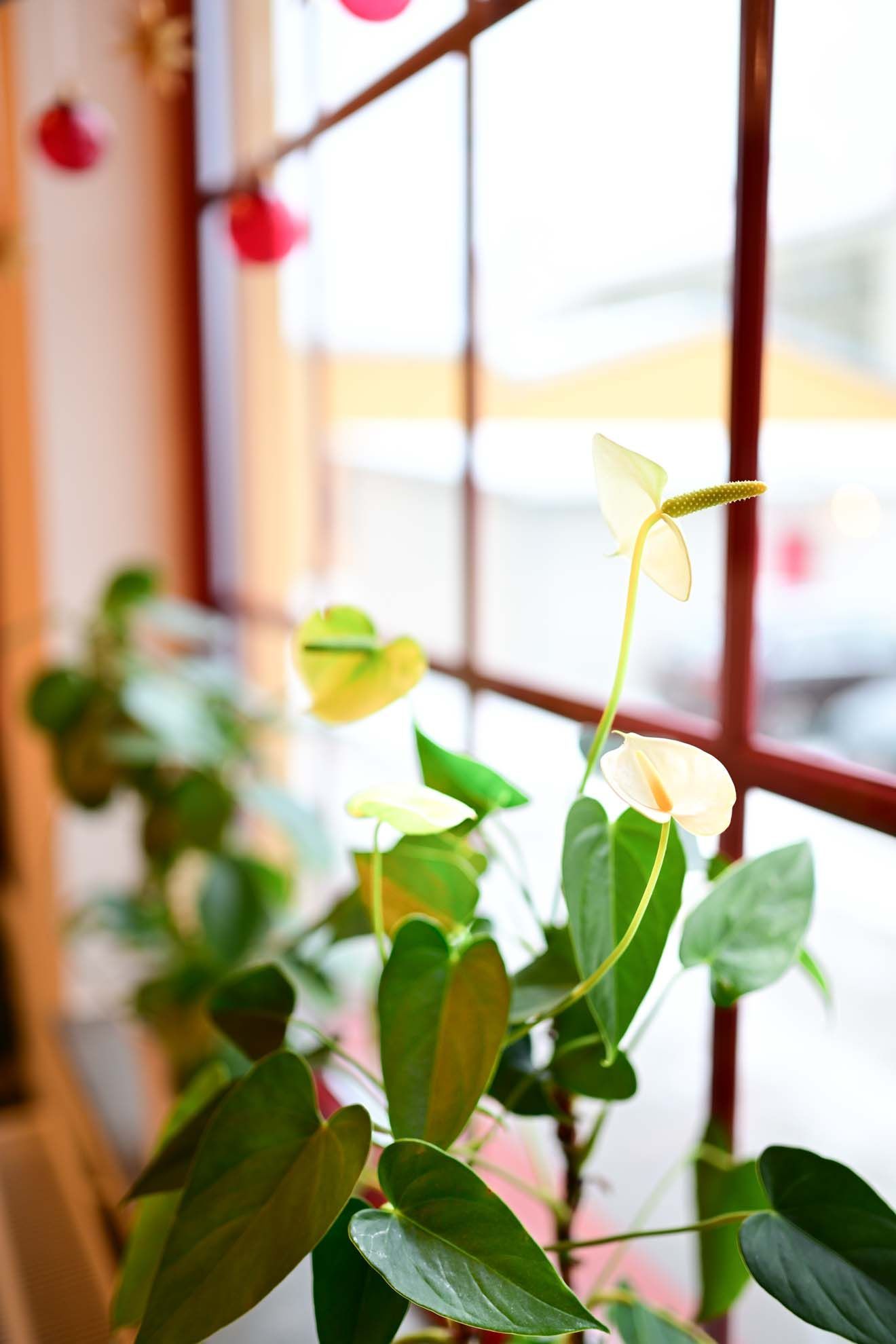 Personal hos Askersundstandläkarna städar och gör rent