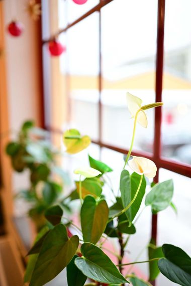 Fönstervy hos Askersundstandläkarna