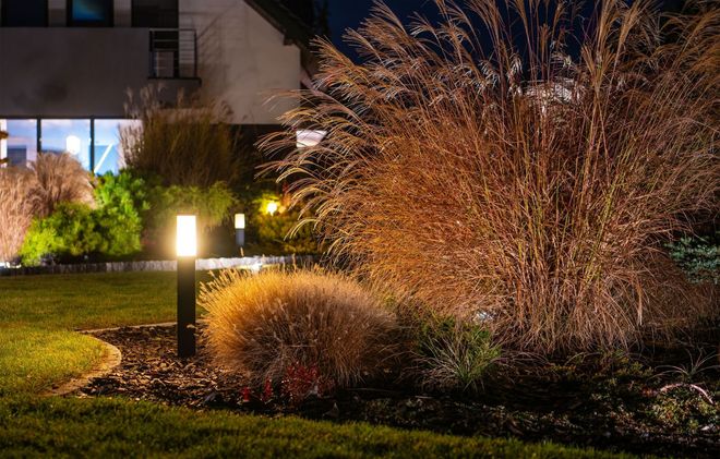 Nighttime garden with ornamental grasses, shrubs, and glowing pathway lights beside a house