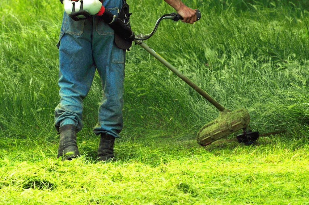 Person in Blue Pants Using a String Trimmer on Tall Green Grass — Young's Lawn Care In Kirwan, QLD