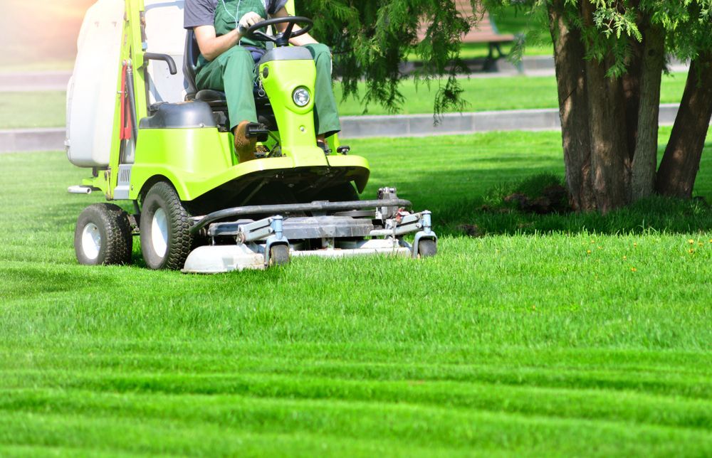 Person in Green Work Clothes Mowing a Vibrant Green Lawn with A Light Green Riding Mower — Young's Lawn Care In Glenden, QLD