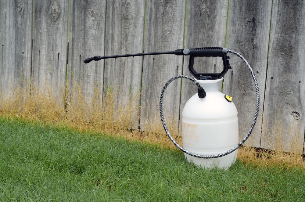 White Garden Sprayer on Green Grass, Next to Weathered Wooden Fence — Young's Lawn Care In West End, QLD
