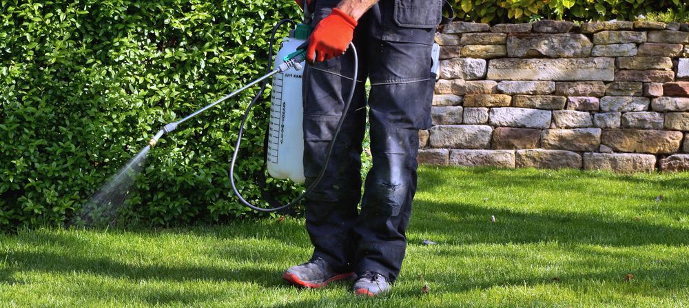 Person Spraying Grass with A Backpack Sprayer on A Sunny Day — Young's Lawn Care In Glenden, QLD