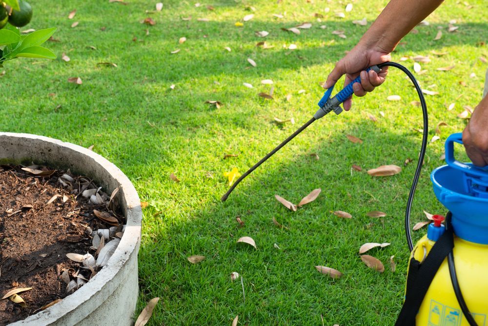 Person Spraying Weed Killer on A Green Lawn Near a Large Concrete Pot — Young's Lawn Care In Glenden, QLD