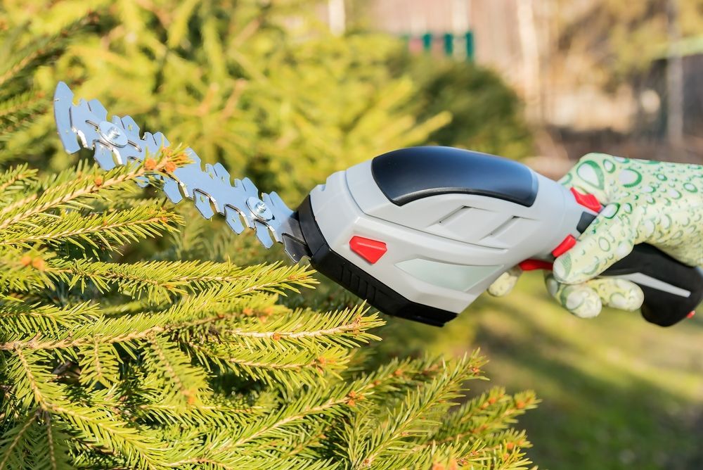 Handheld Hedge Trimmer Cutting a Green Bush — Young's Lawn Care In Aitkenvale, QLD