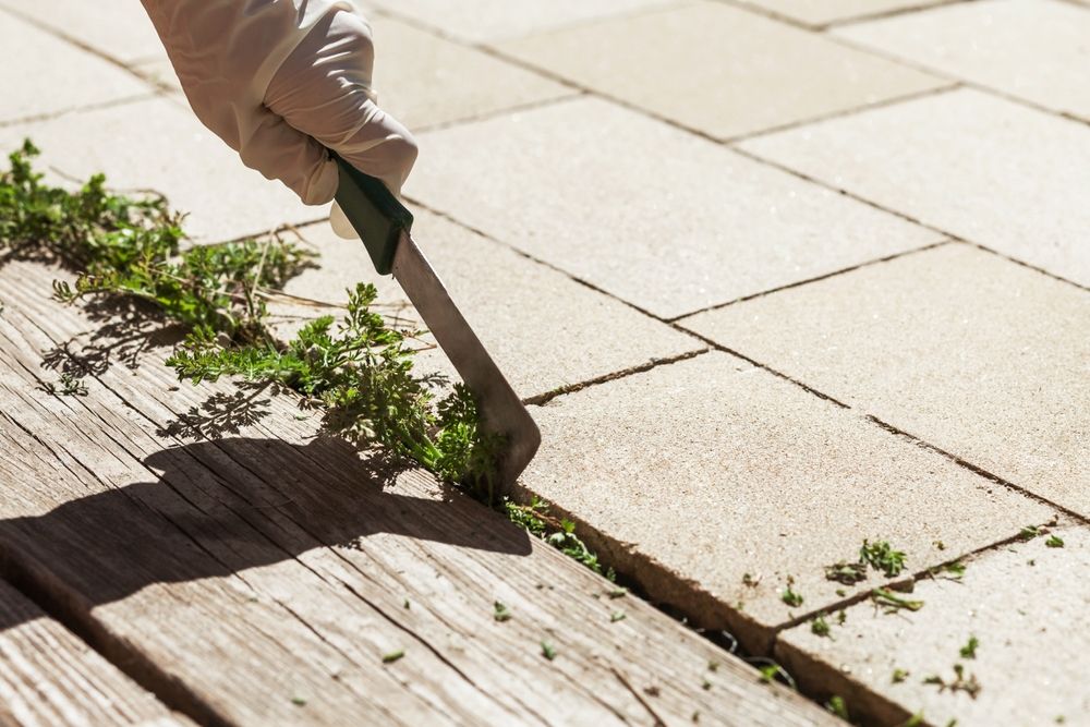 Gloved Hand Using a Weeding Tool to Remove Weeds Growing Between Patio Stones — Young's Lawn Care In Glenden, QLD