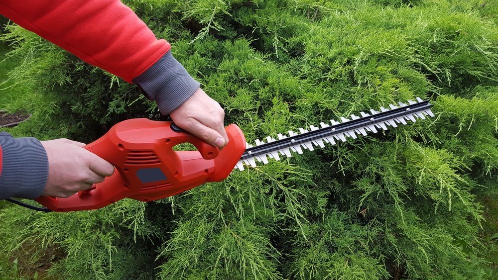 Person in Red Jacket Using Red Hedge Trimmer on Green Bush — Young's Lawn Care In Glenden, QLD