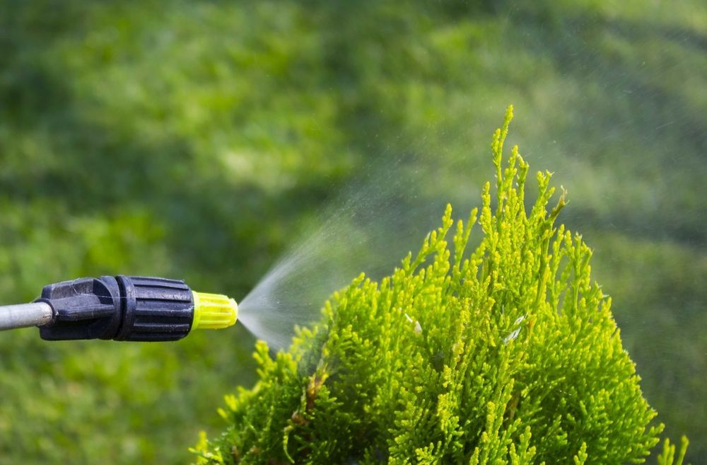 Sprayer Nozzle Dispensing Mist onto A Vibrant Green Shrub — Young's Lawn Care In West End, QLD