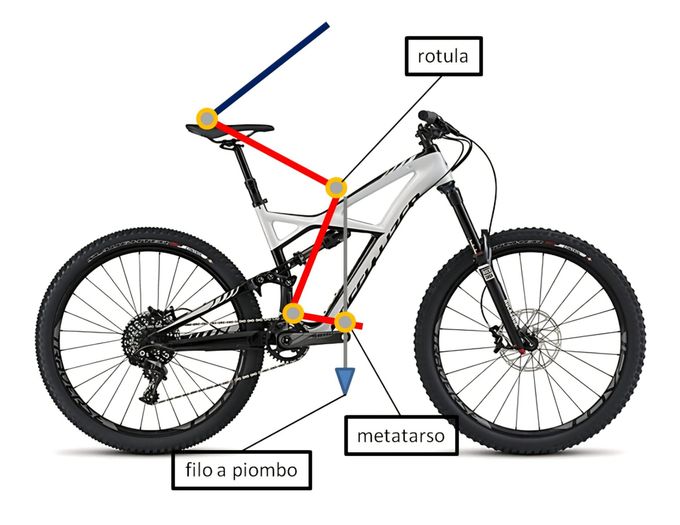 Preparazione e set-up bici