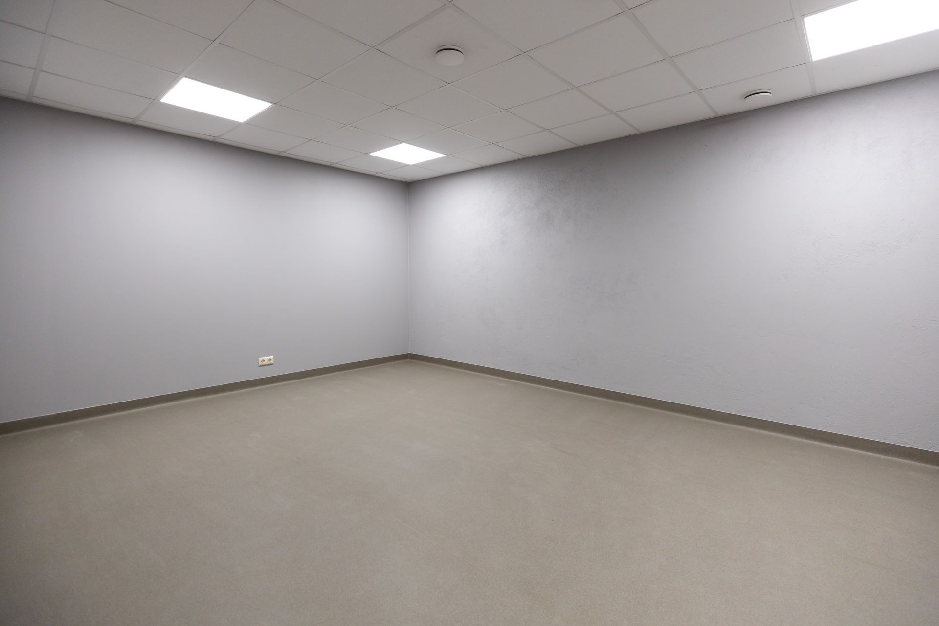 Empty office room with gray walls, beige carpet, and ceiling lights.