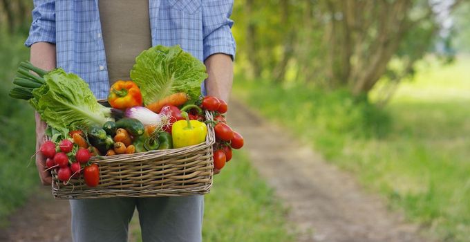 A man is holding a basket of vegetables in his hands.