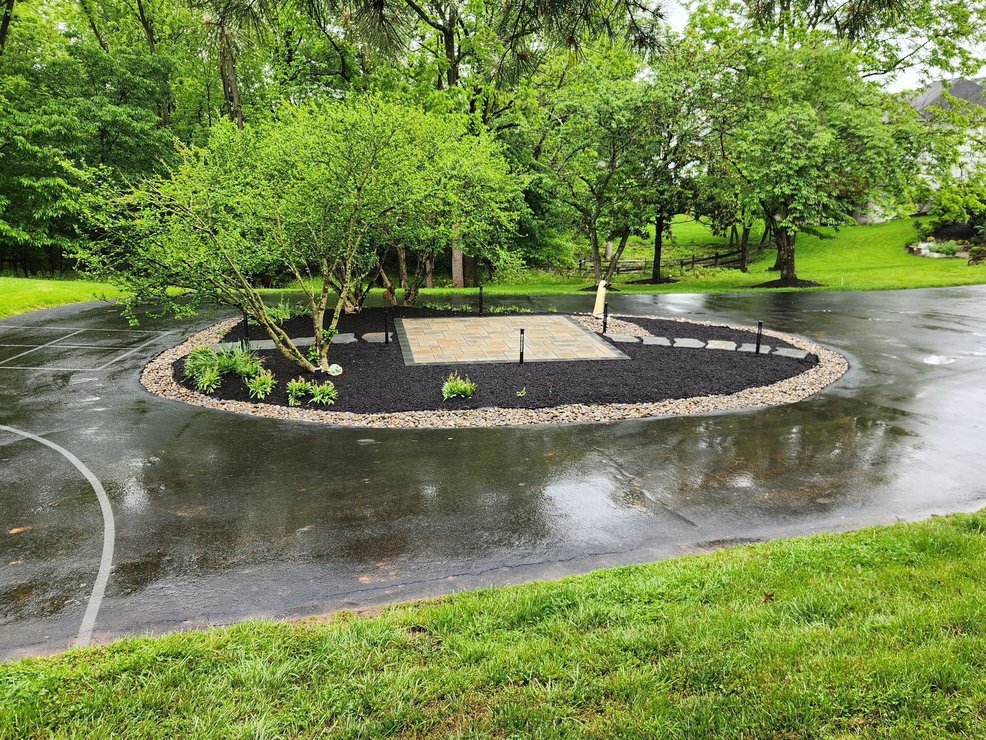 Rainy park path curving around a landscaped circular island with young trees and black mulch