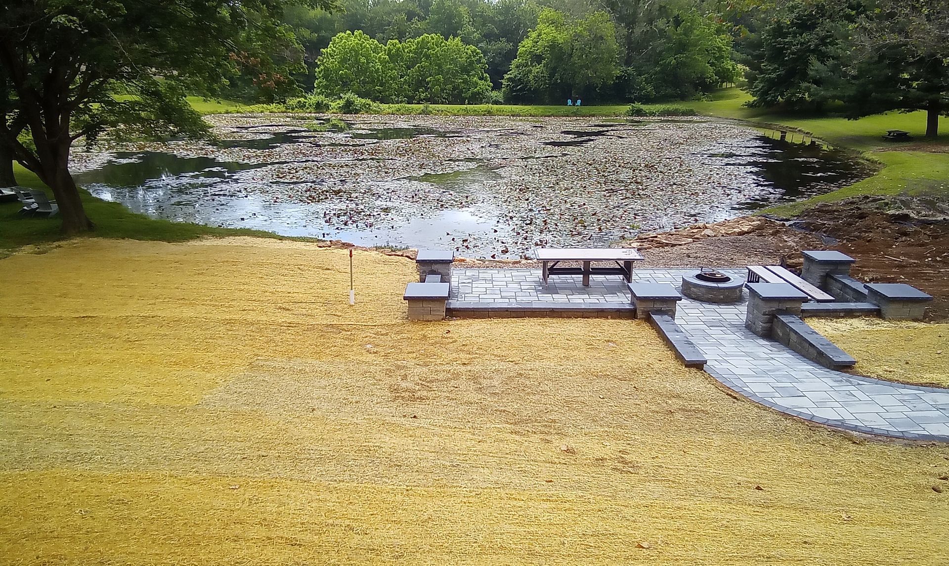 Flooded park with muddy pond, yellow grass, and a stone walkway leading to a bench