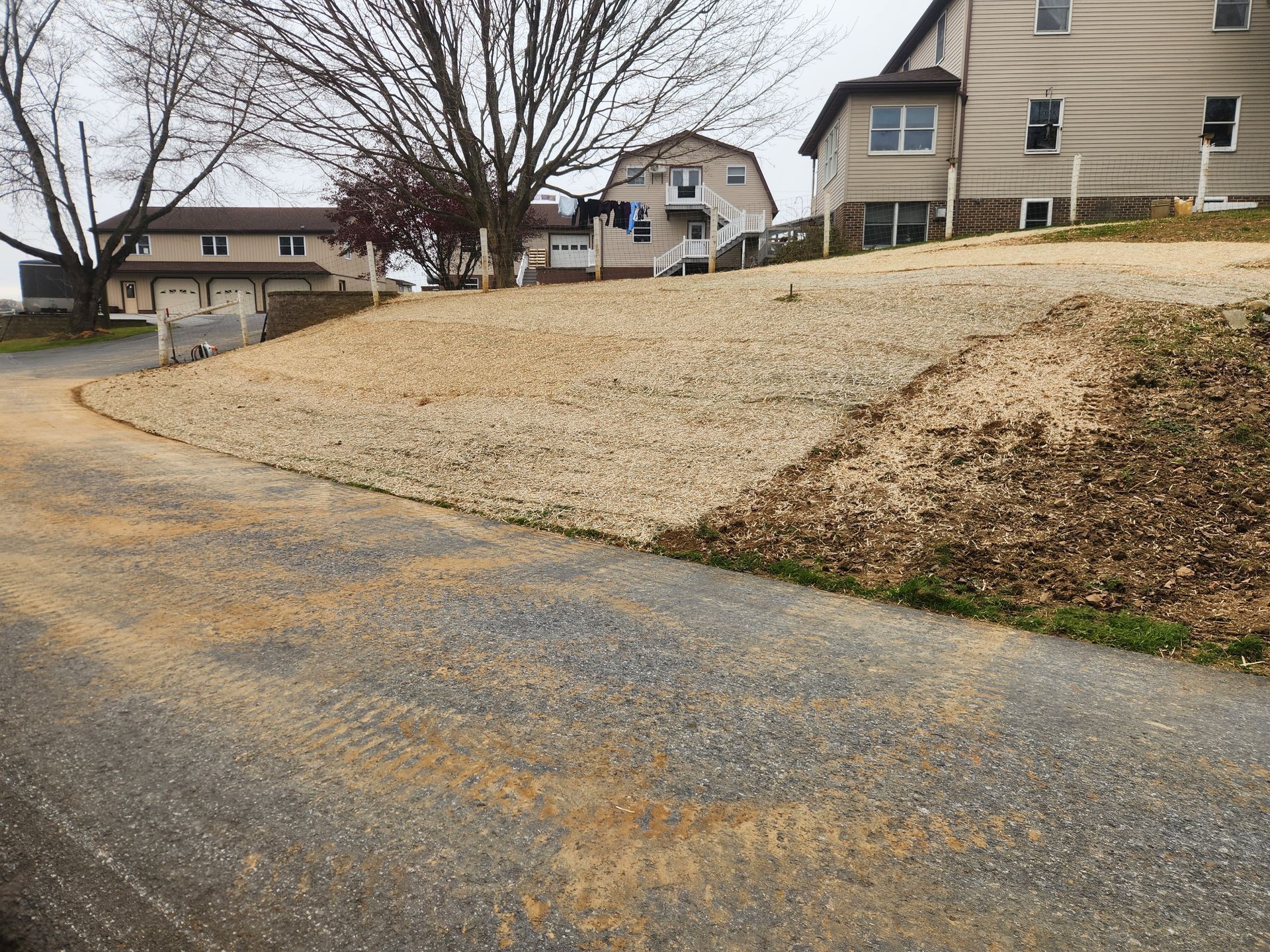 Sloped grassy roadside beside a paved street in a suburban neighborhood with houses and bare trees