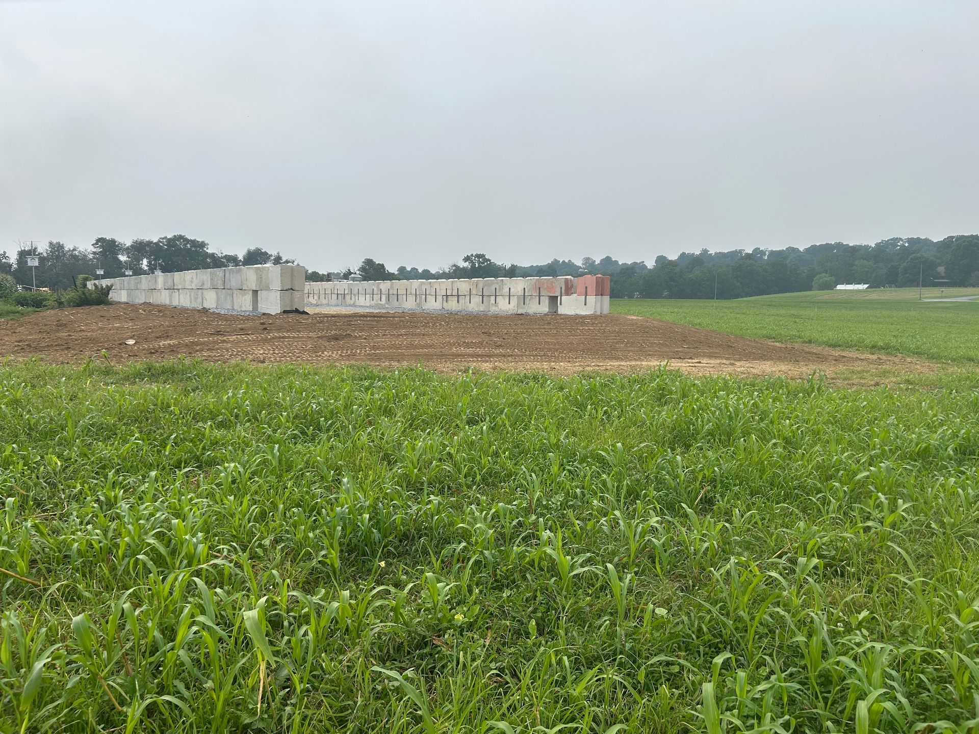 A concrete foundation sits on a cleared area in a field of tall green grass; trees in the background.