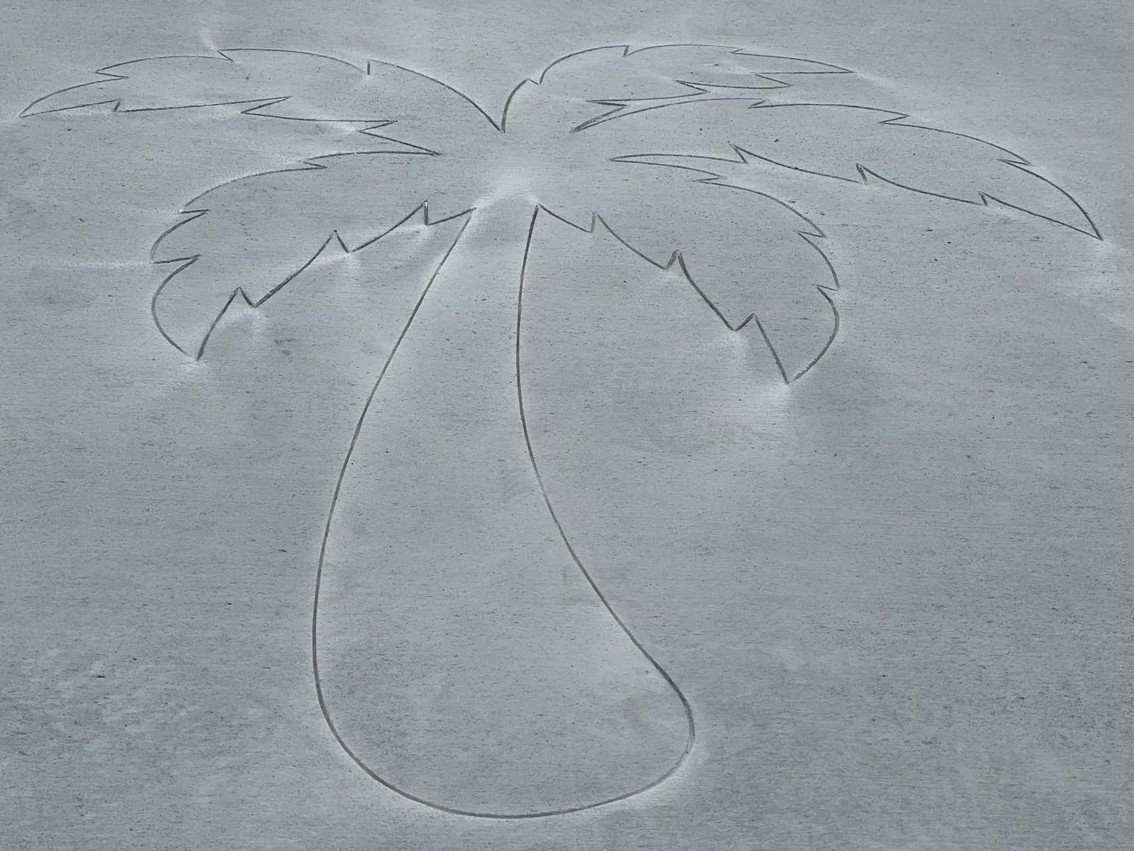 Palm tree outline drawn in sand on a beach