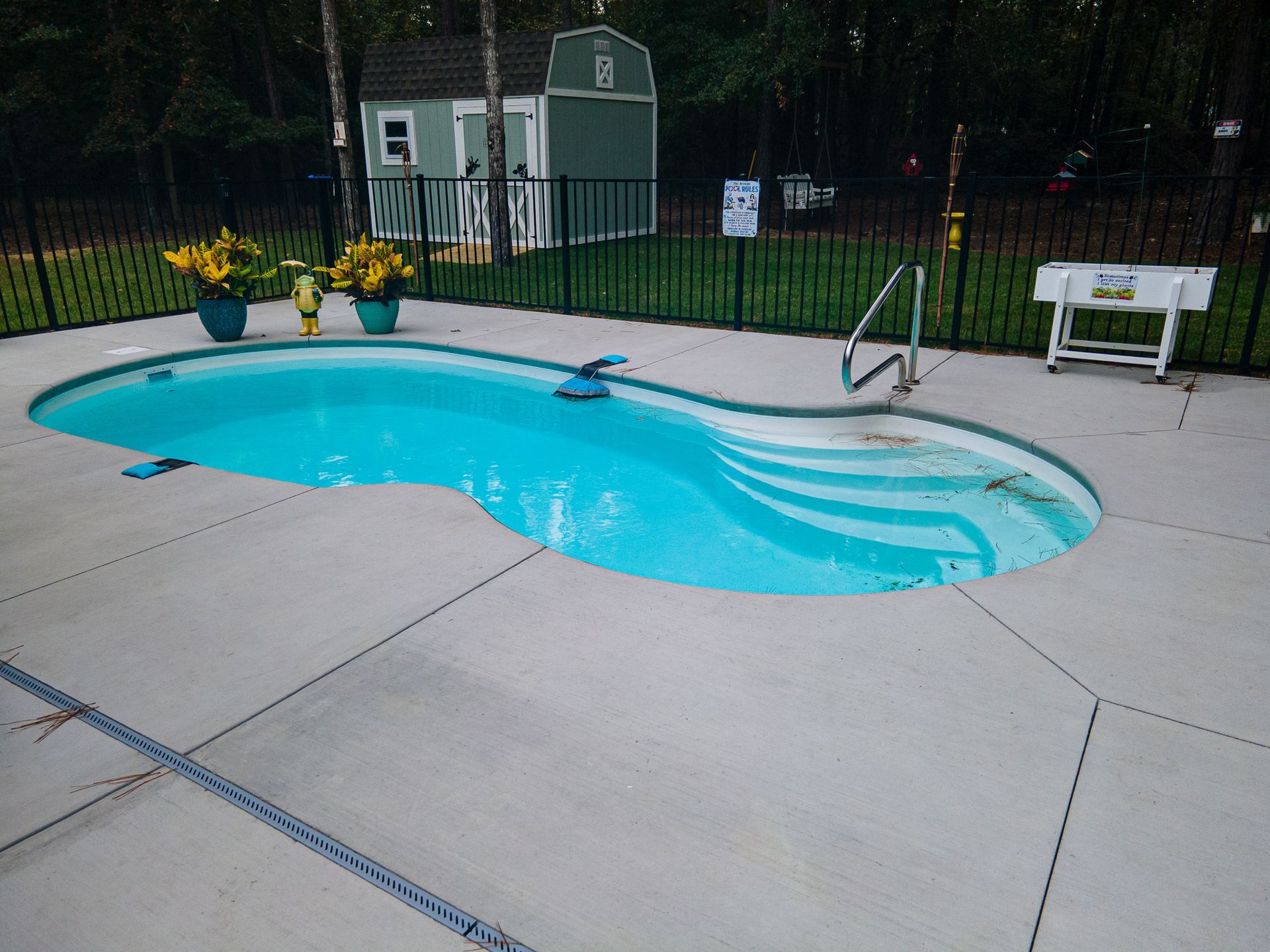 Backyard swimming pool with light blue water and concrete deck, surrounded by trees and a small shed