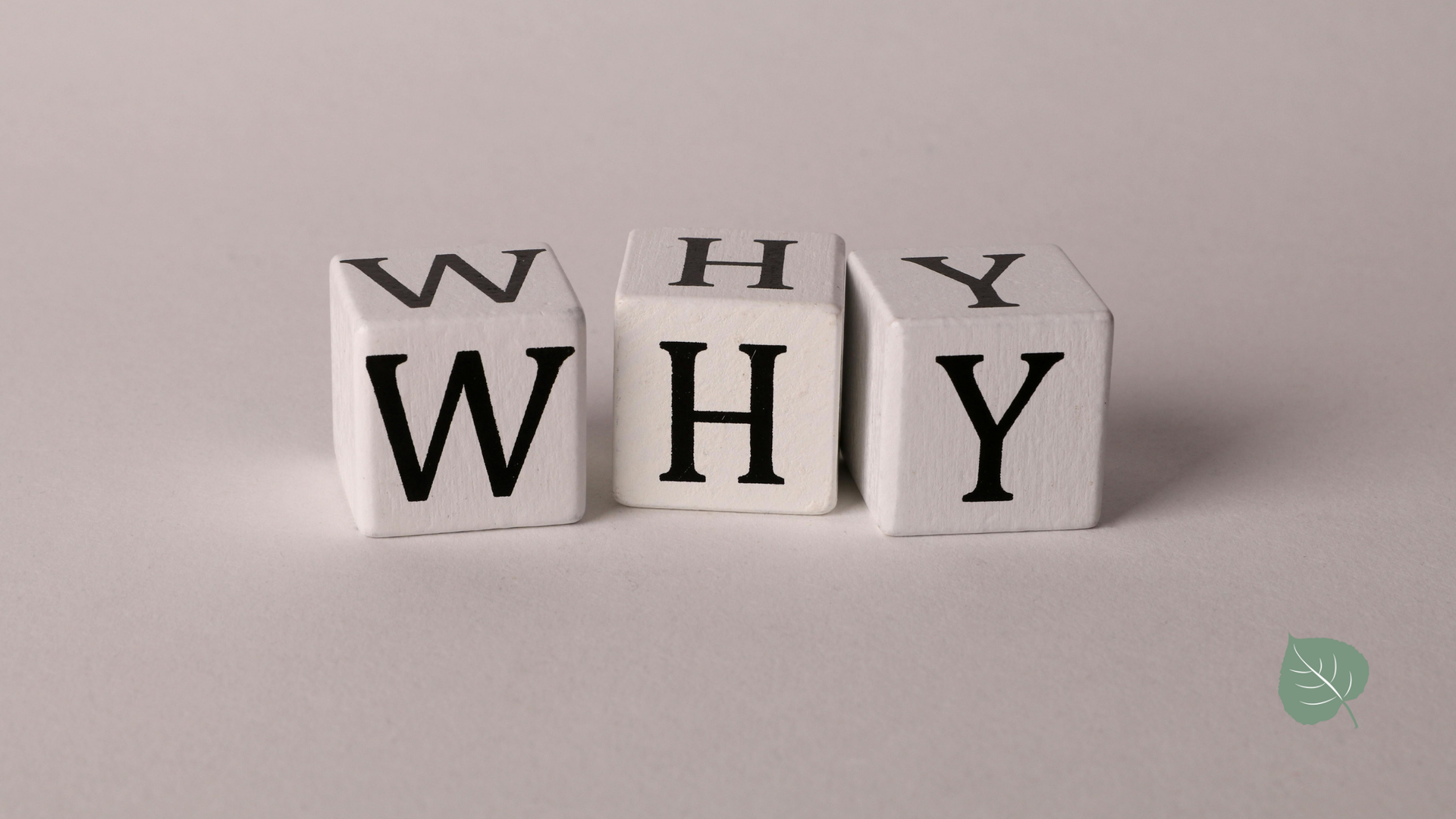 The word why is written on a white block