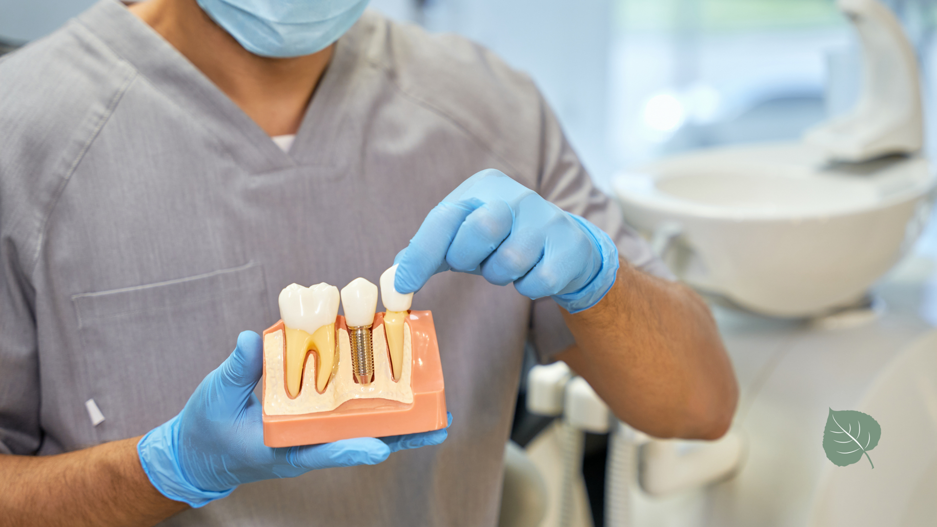 A dentist is holding a model of teeth and a dental implant.