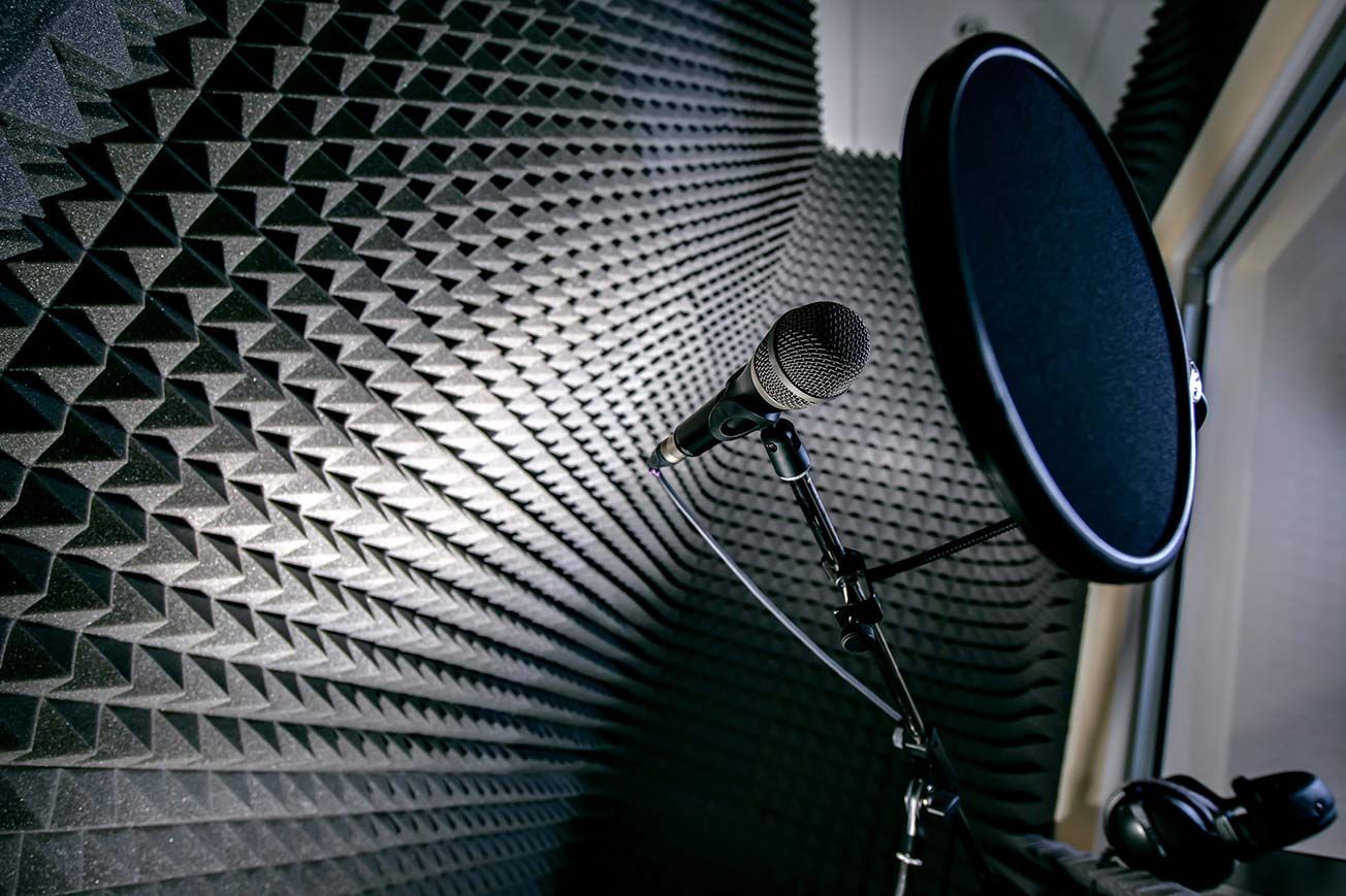 A microphone and a pop filter in a recording studio.