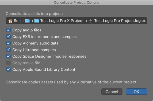 A screenshot of the consolidate project options window