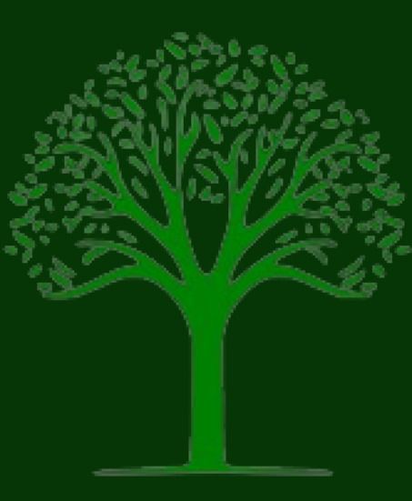 Tree Cabling and Bracing Dothan, AL | Dothan Tree Service