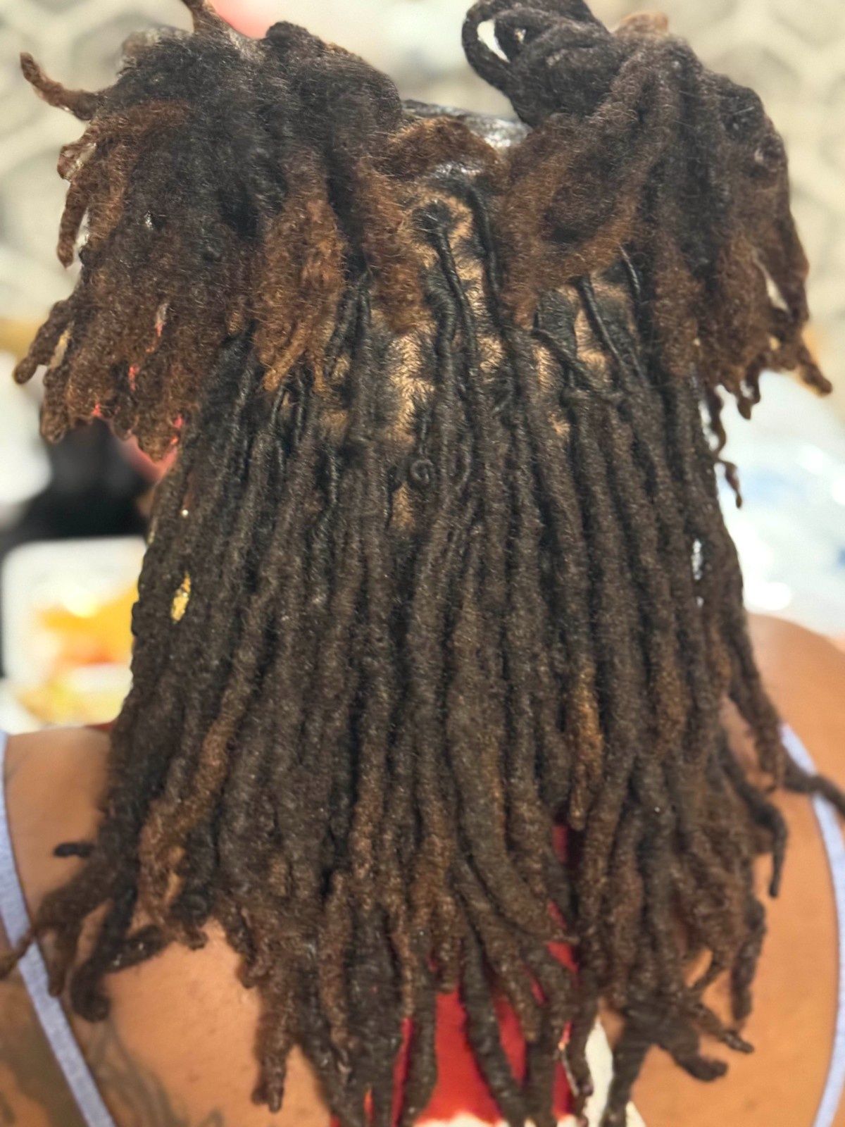Back view of long, dark dreadlocks with reddish tips tied up at the top