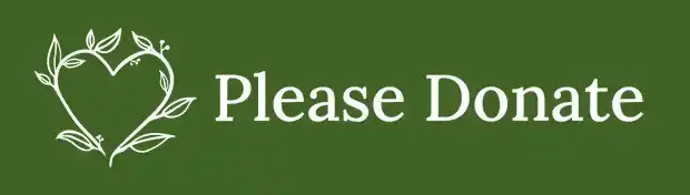 Please donate to Healing & Hope
