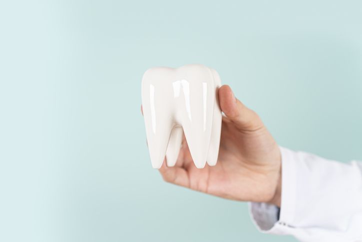 Hand holding a white dental crown model against a light blue background