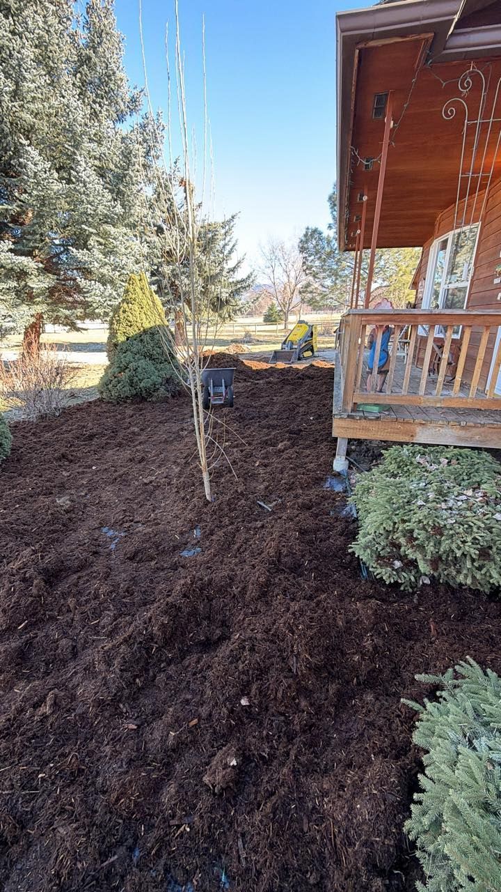 Freshly spread dark mulch covers the ground in front of a wooden porch, with evergreen trees and a tall sapling nearby.