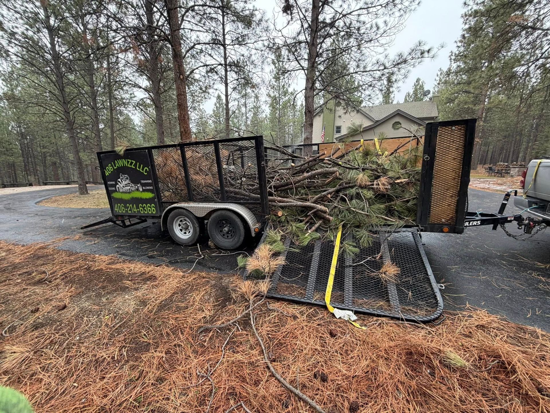 A utility trailer filled with pine branches is parked on an asphalt driveway surrounded by tall pine trees.