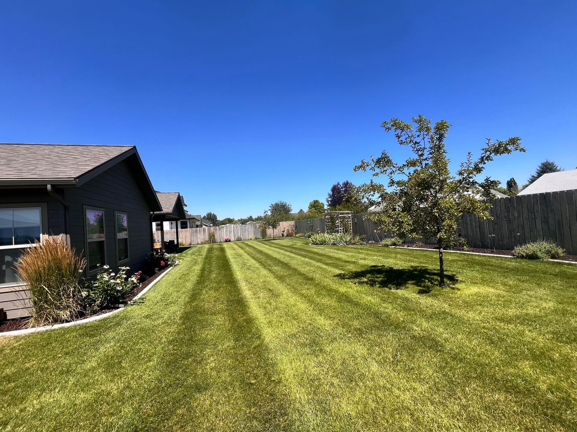 A neat backyard with mowed lawn stripes, a small tree, and a dark grey house under a clear, bright blue sky.
