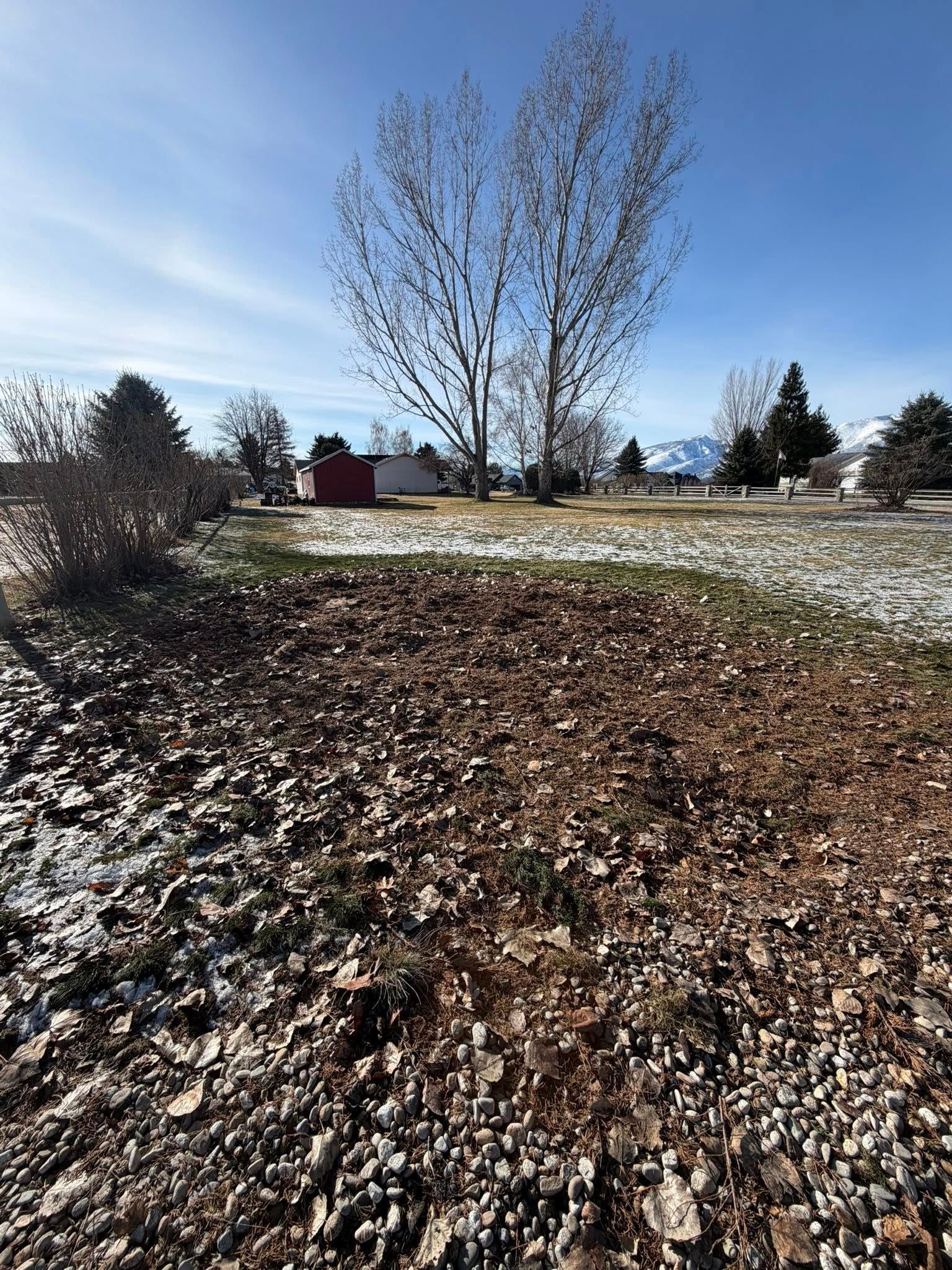 A sunny, winter landscape with sparse snow on the ground, bare trees, and a small red building in the distance.