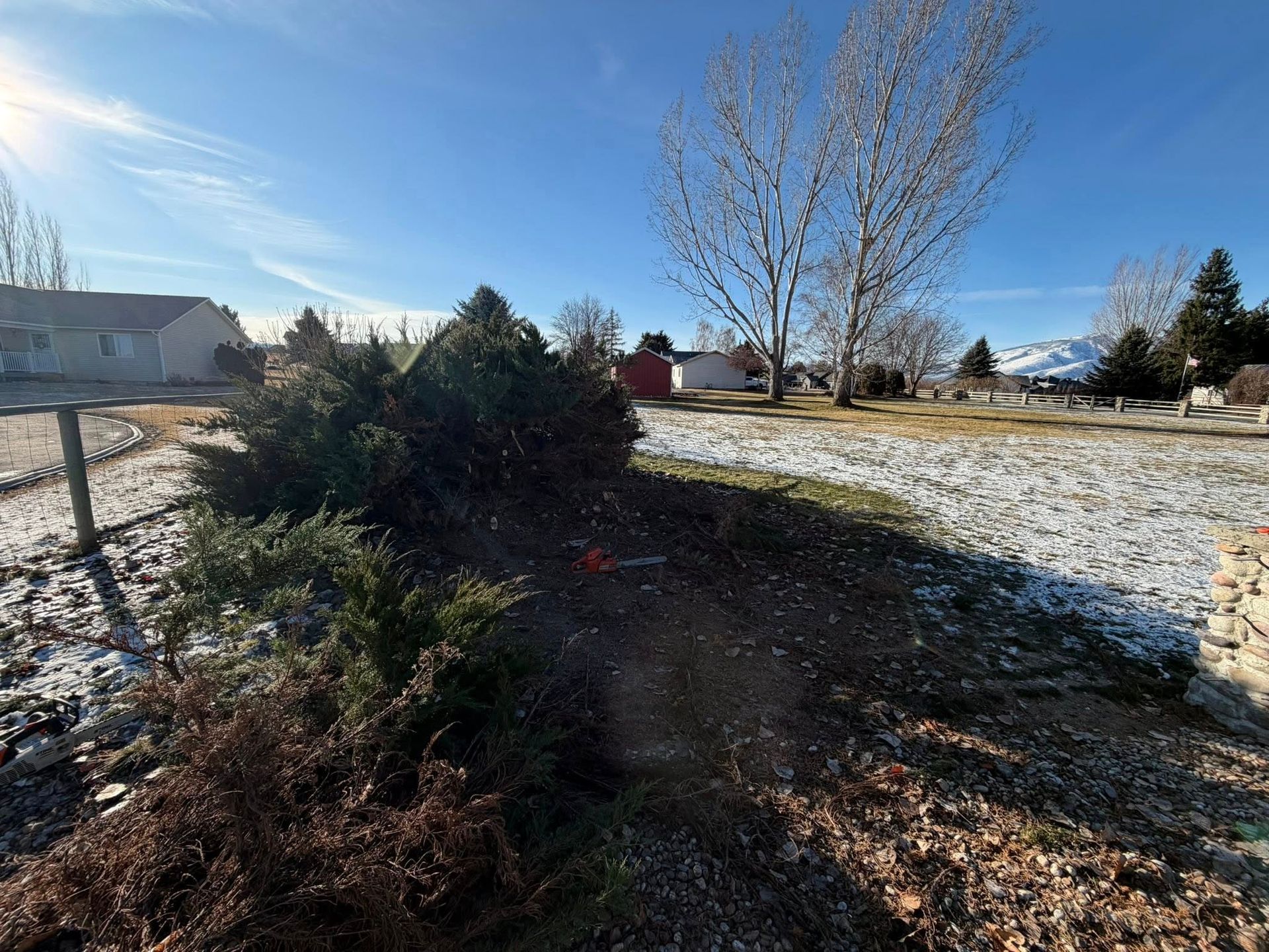 A frost-covered residential yard with low bushes, a stone wall, bare trees, and a mountain range in the distance.