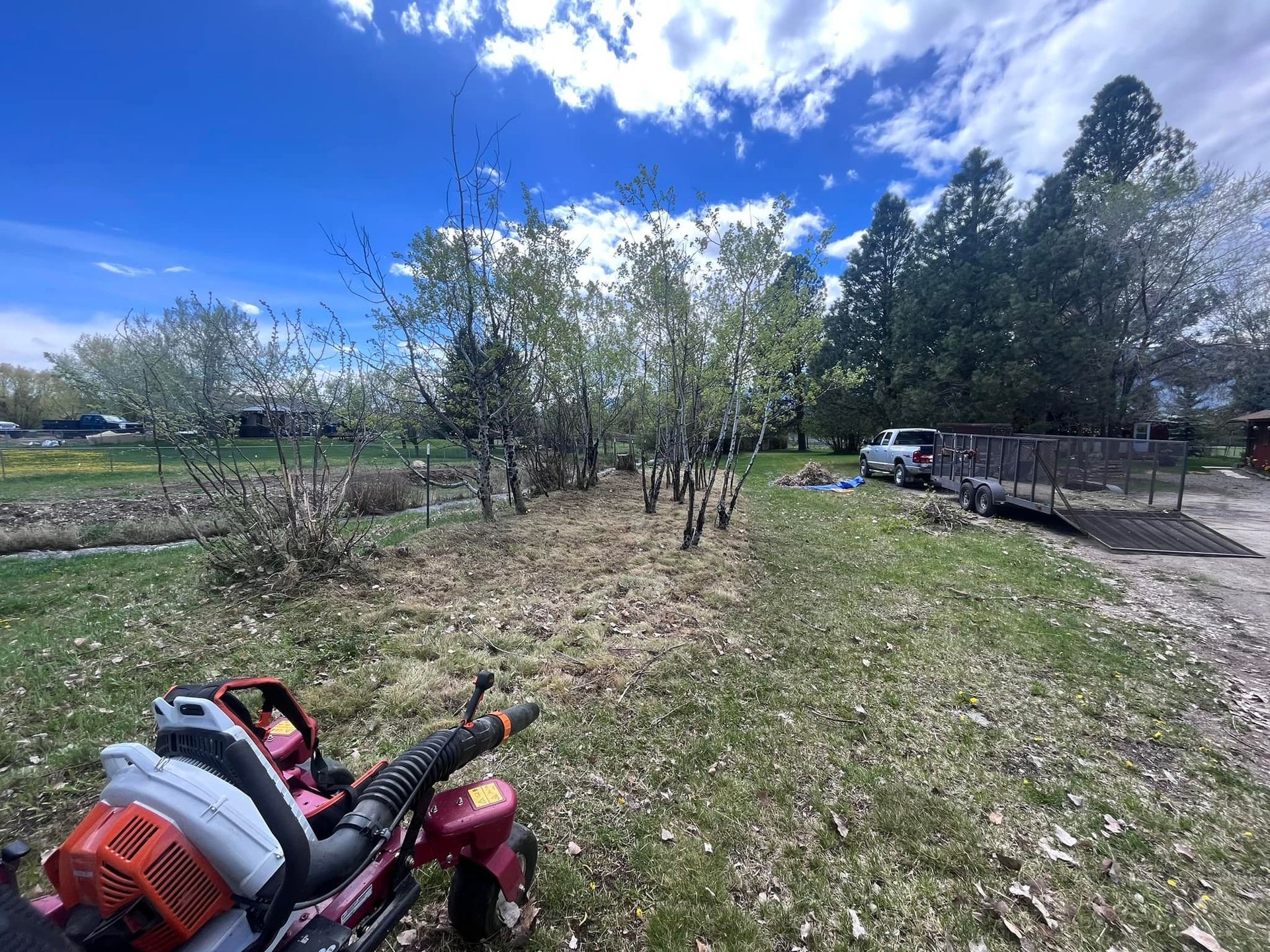 A backpack leaf blower in the foreground overlooks a grassy field with trees, a small herd of goats, and a parked truck.