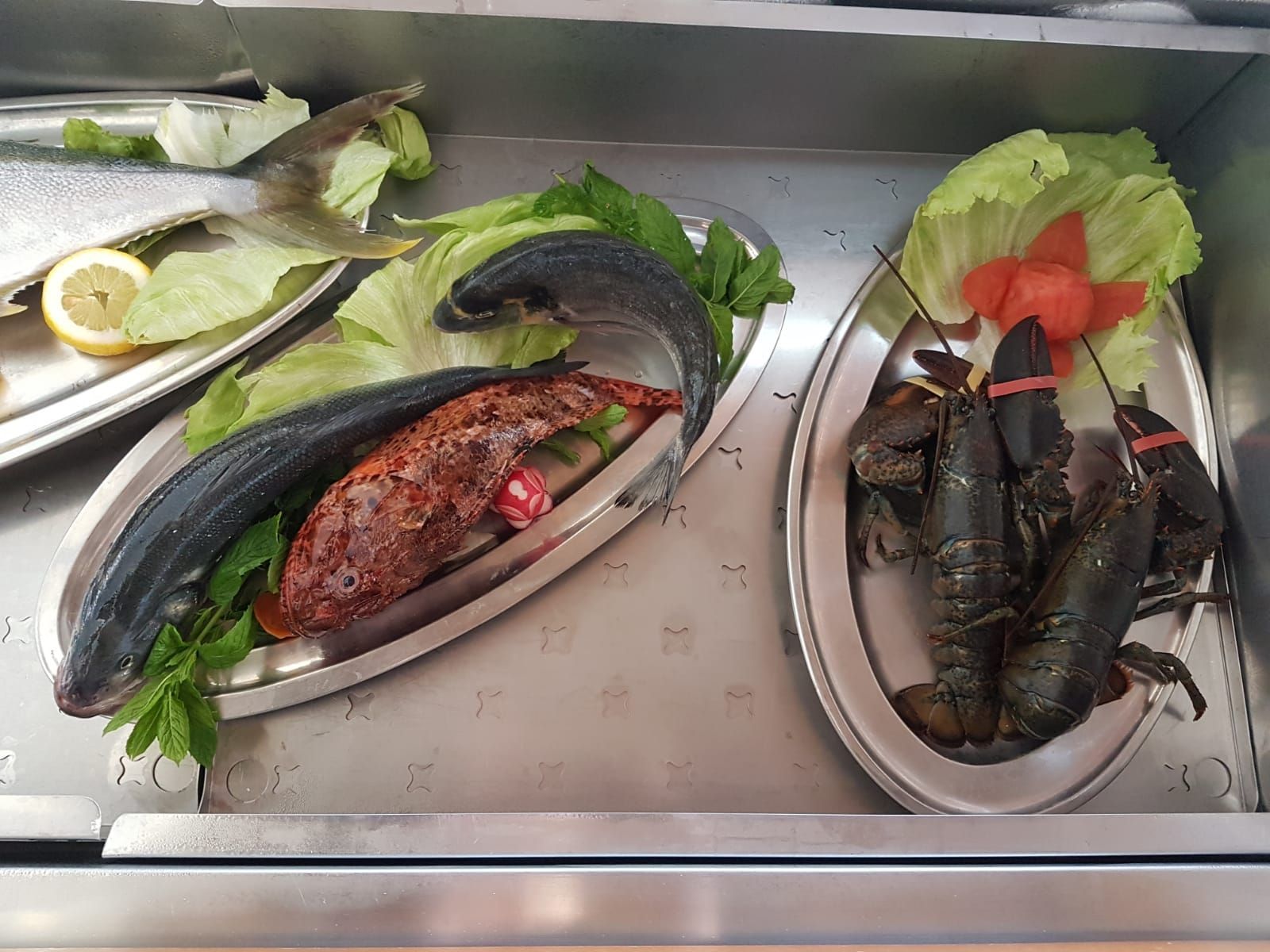 Esposizione di pesce fresco: pesci e aragoste disposti su vassoi d'argento con lattuga e guarnizioni.