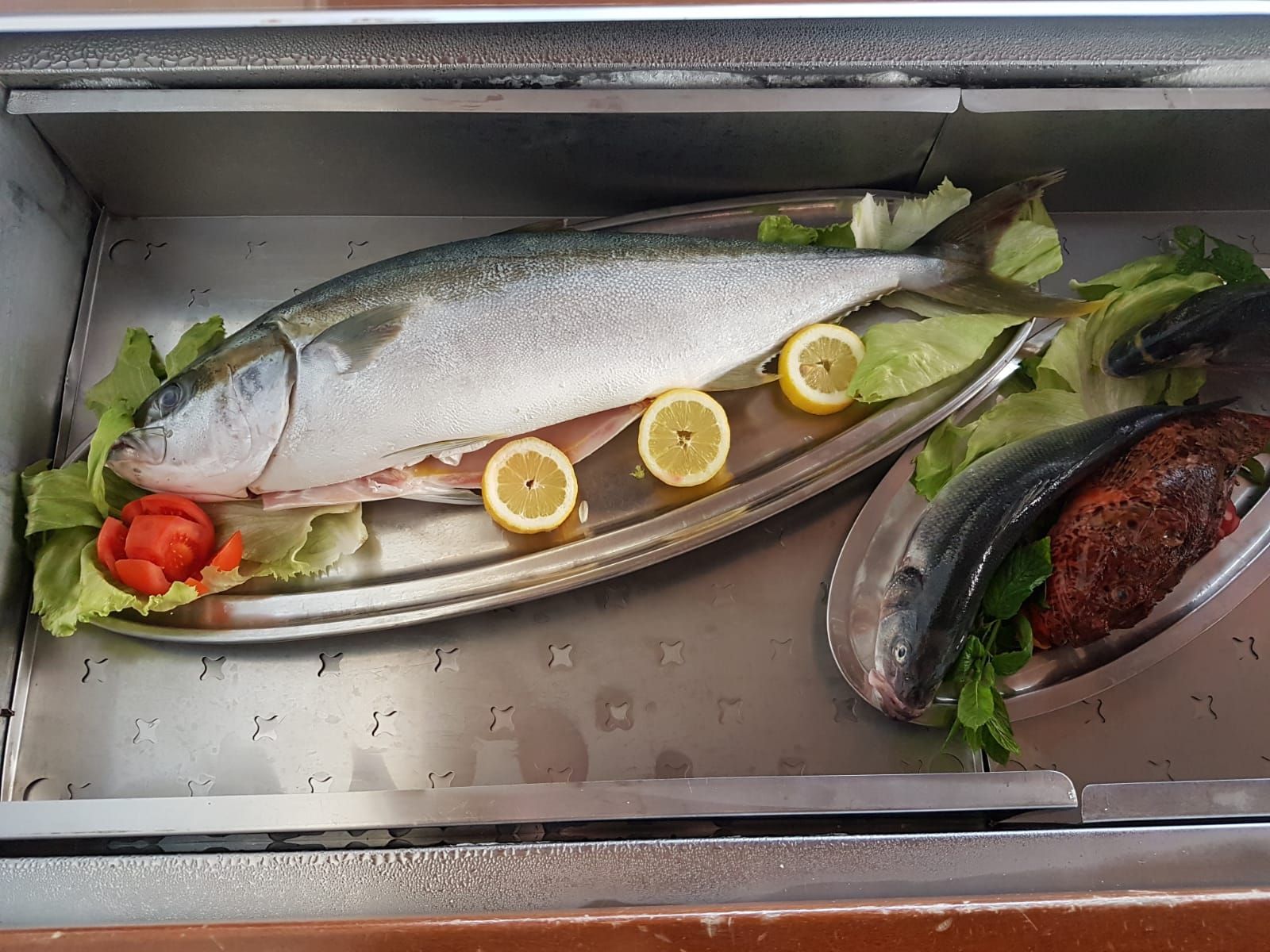 Pesce intero, decorato con fette di limone, lattuga e pomodoro, su vassoi da portata d'argento.