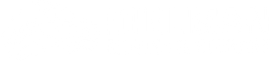 White background.