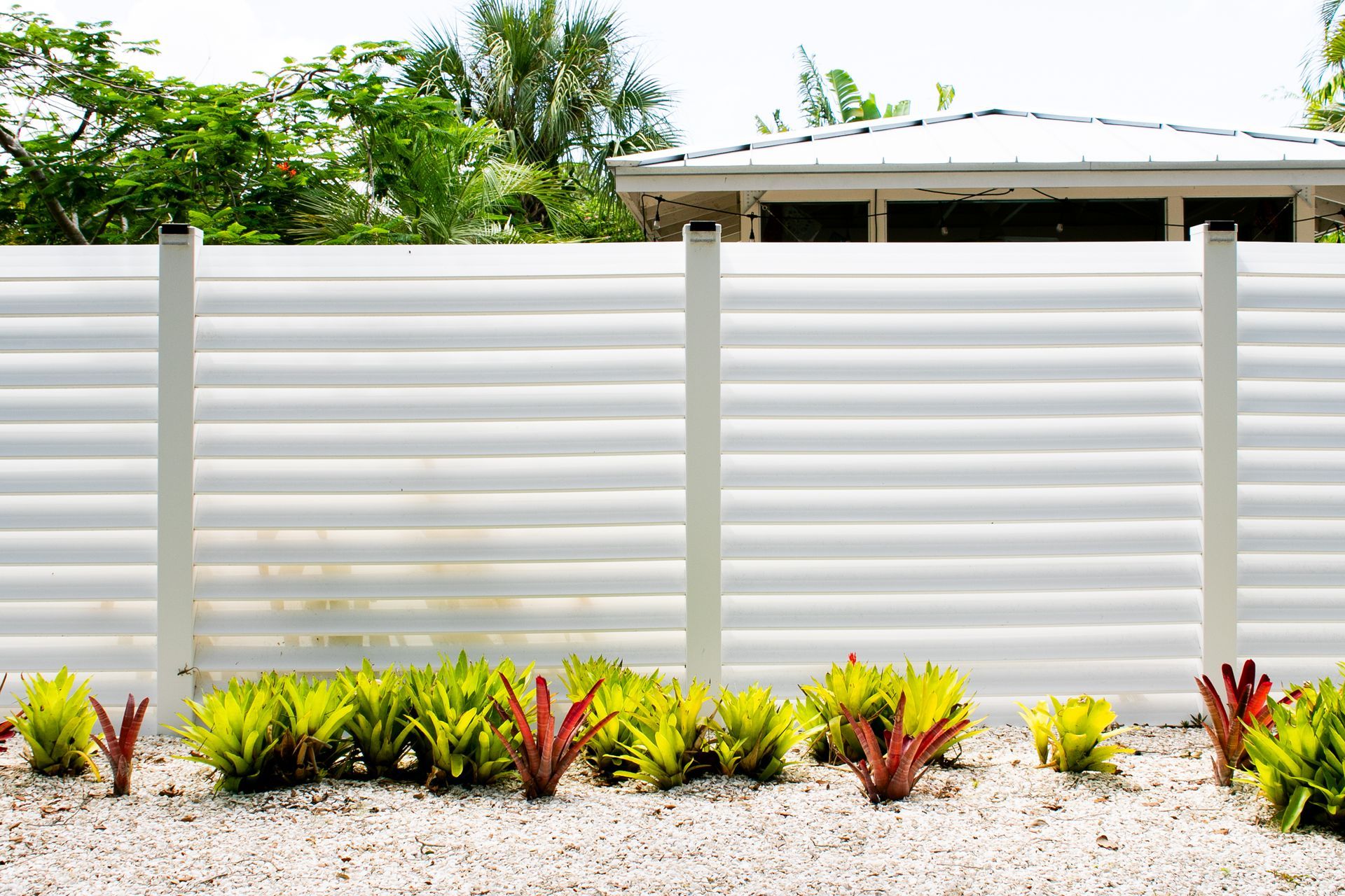 A white horizontal slatted privacy fence set behind a bed of green and reddish plants on gravel ground.