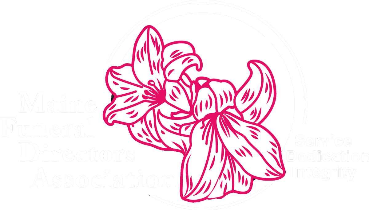 Pink line-art drawing of two flowers with large petals on a white background