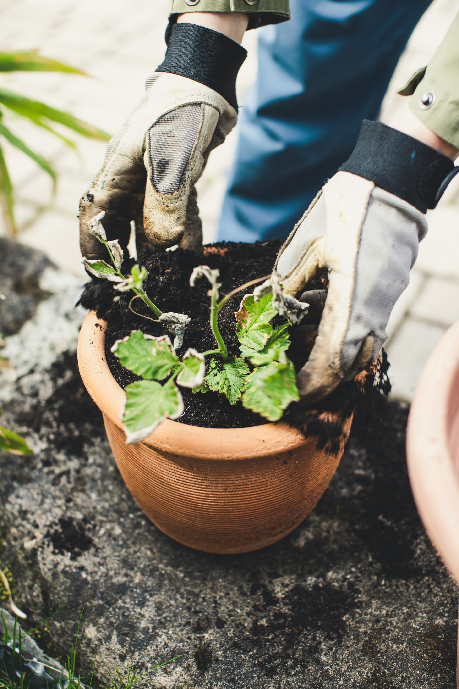 Werken in een tuin met beplanting