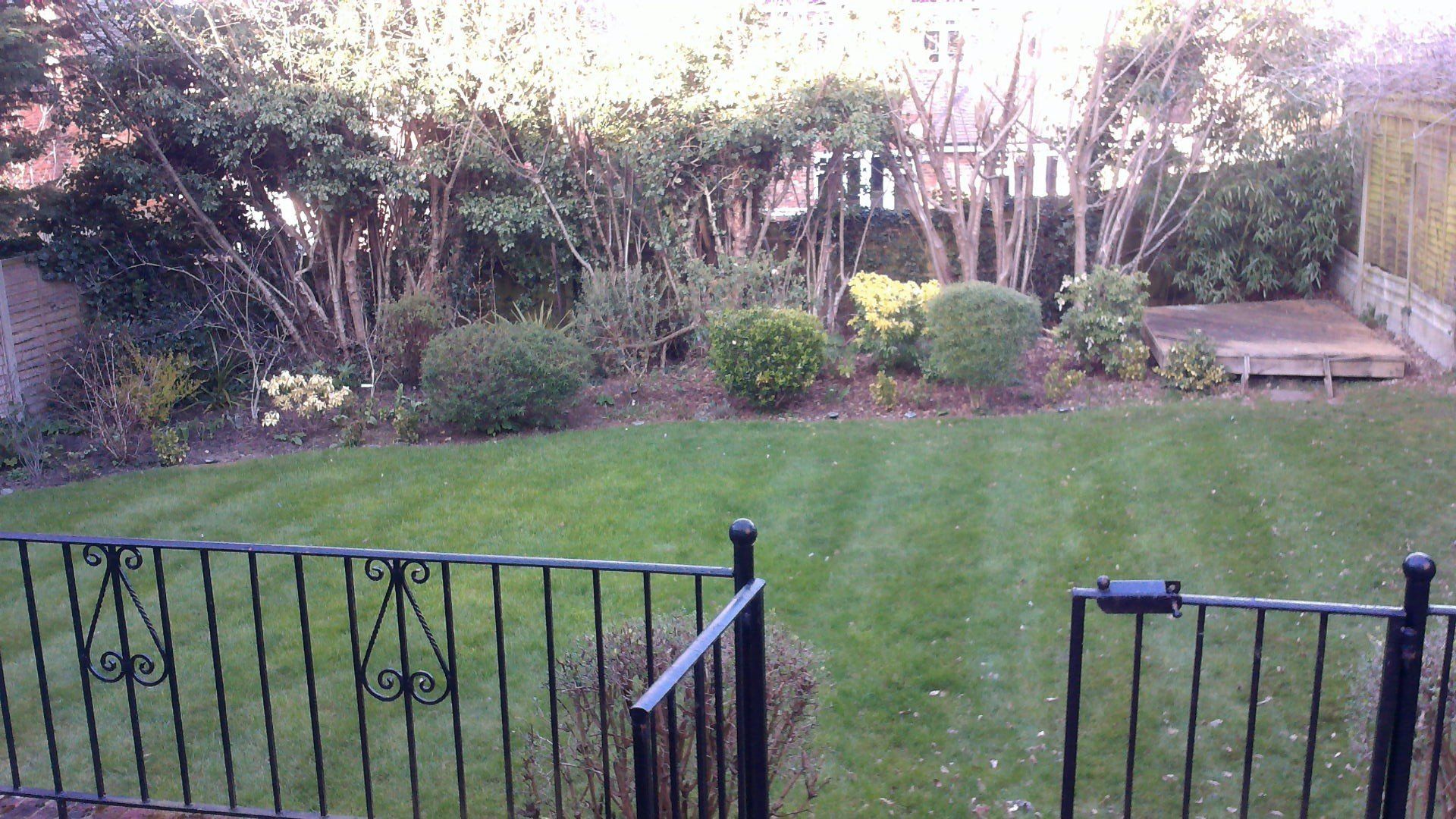 A backyard with a fence and a lush green lawn
