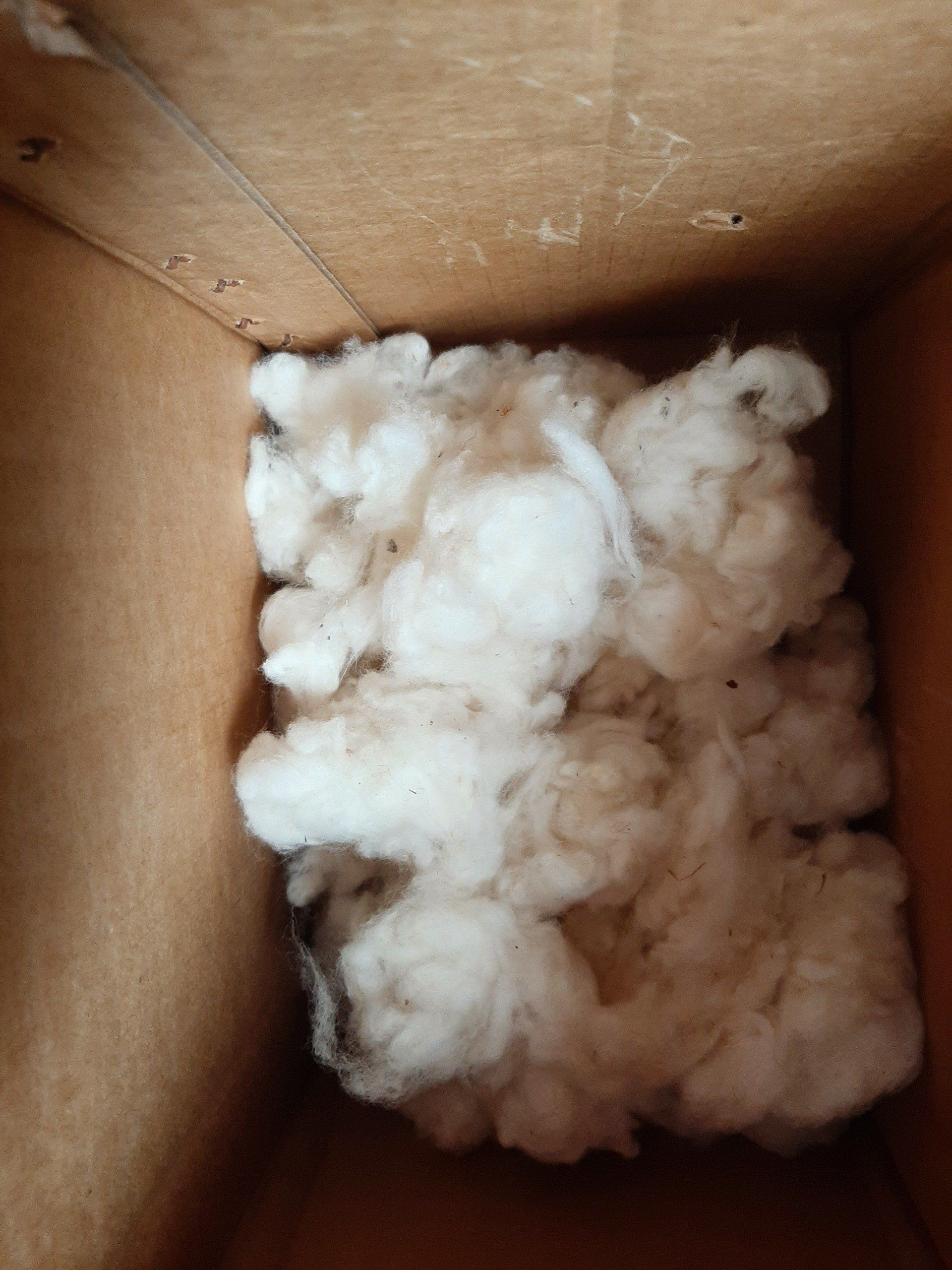 Sample Cotton Lint from Mishkan Farms Tester Site