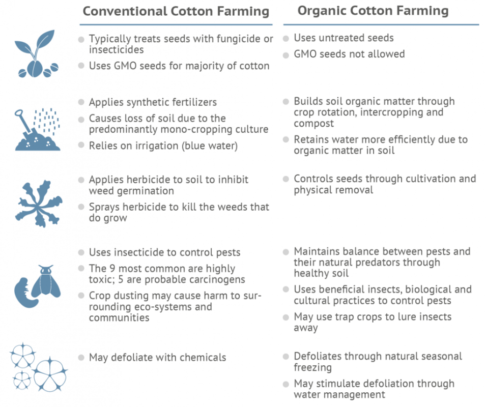 Benefits of Organic Cotton Farming Versus Conventional Cotton Farming